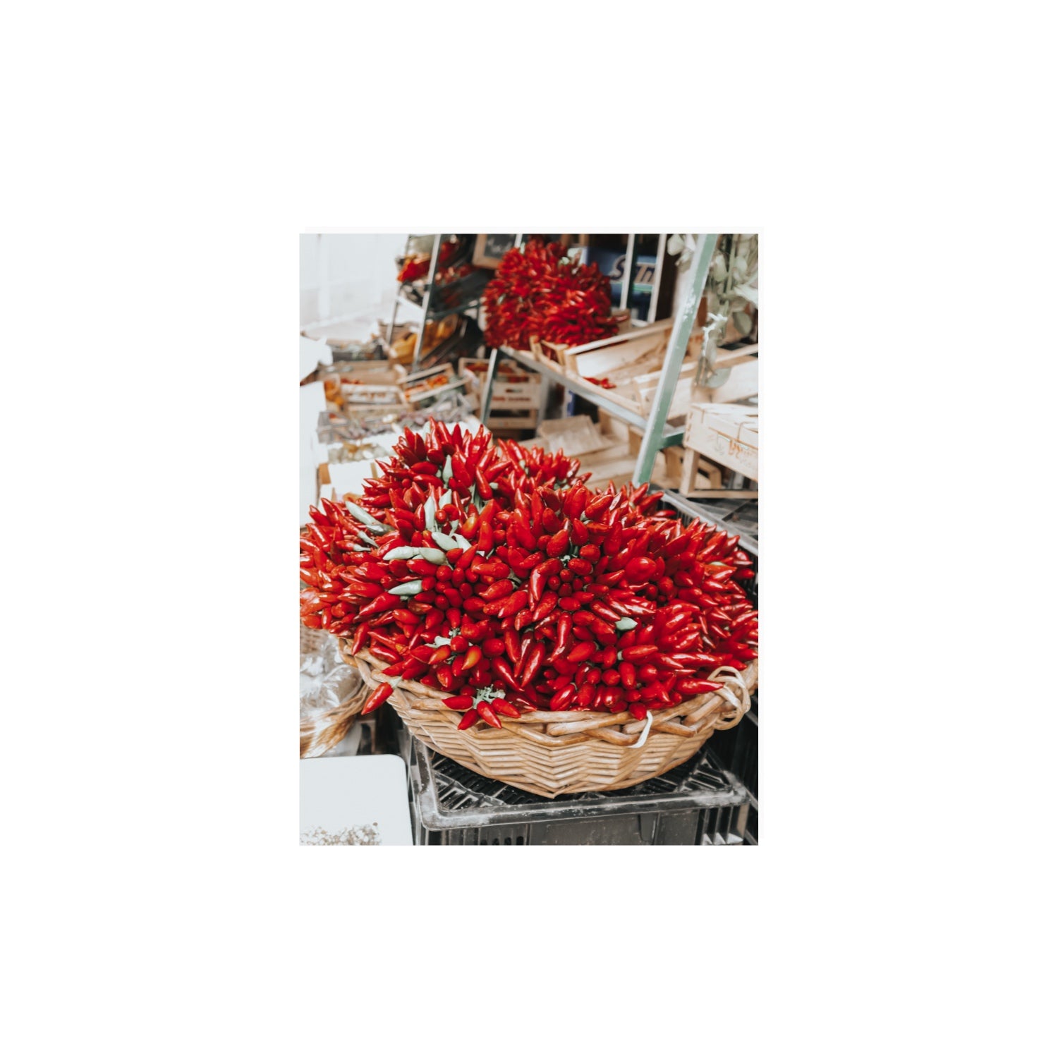 Spicy Bunch Puglia Italian wall art 12 x 16 in unframed fine art print