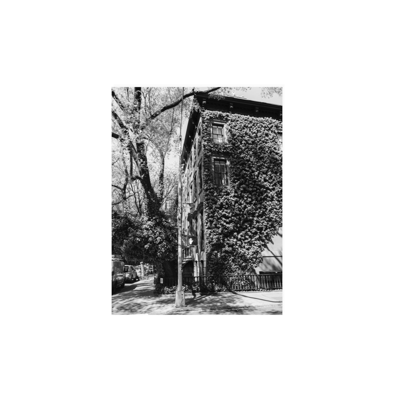 Vertical Garden New York NYC Black & White wall art 12 x 16 in unframed fine art print