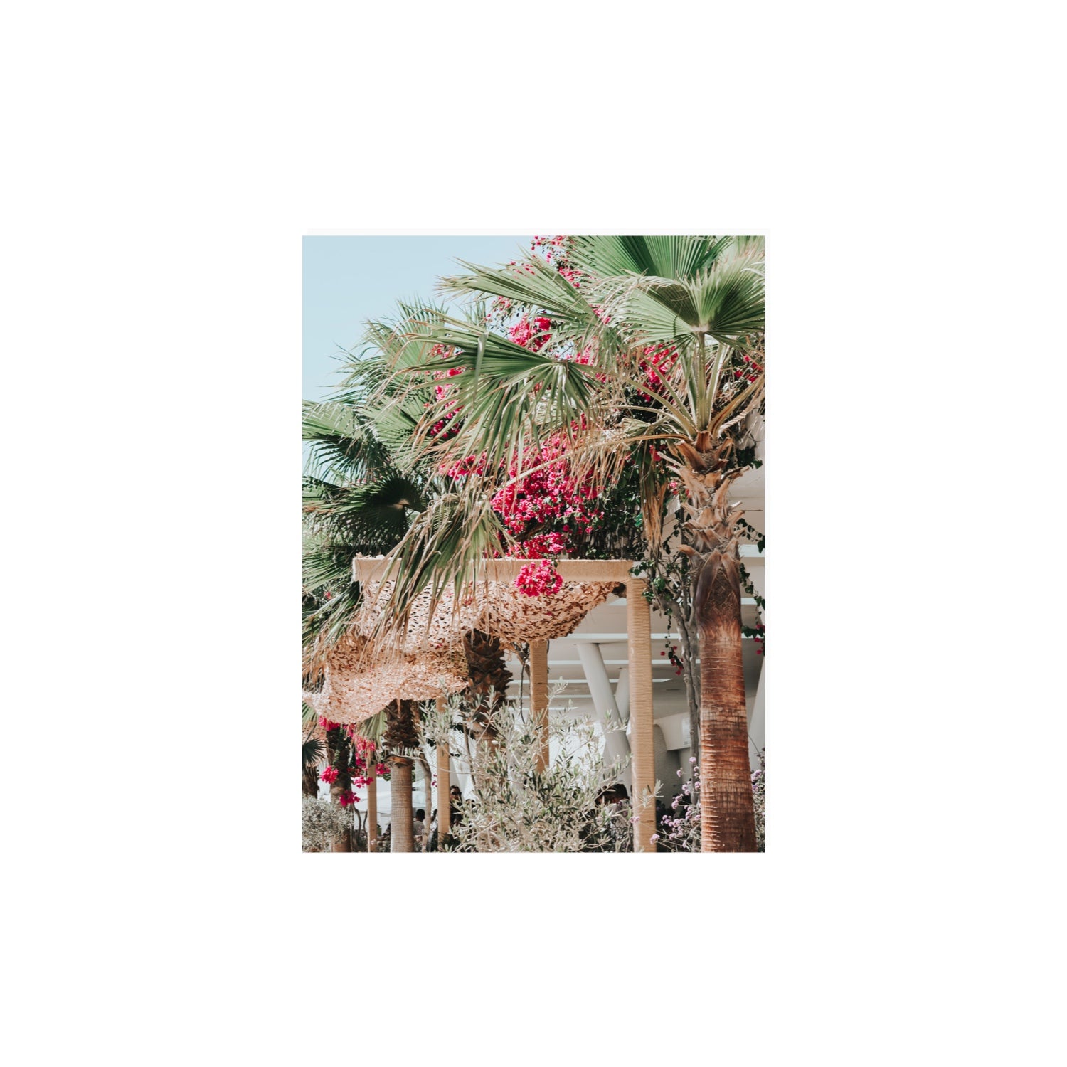 Palm Trees Mykonos Greek island wall art 12 x 16 in unframed fine art print