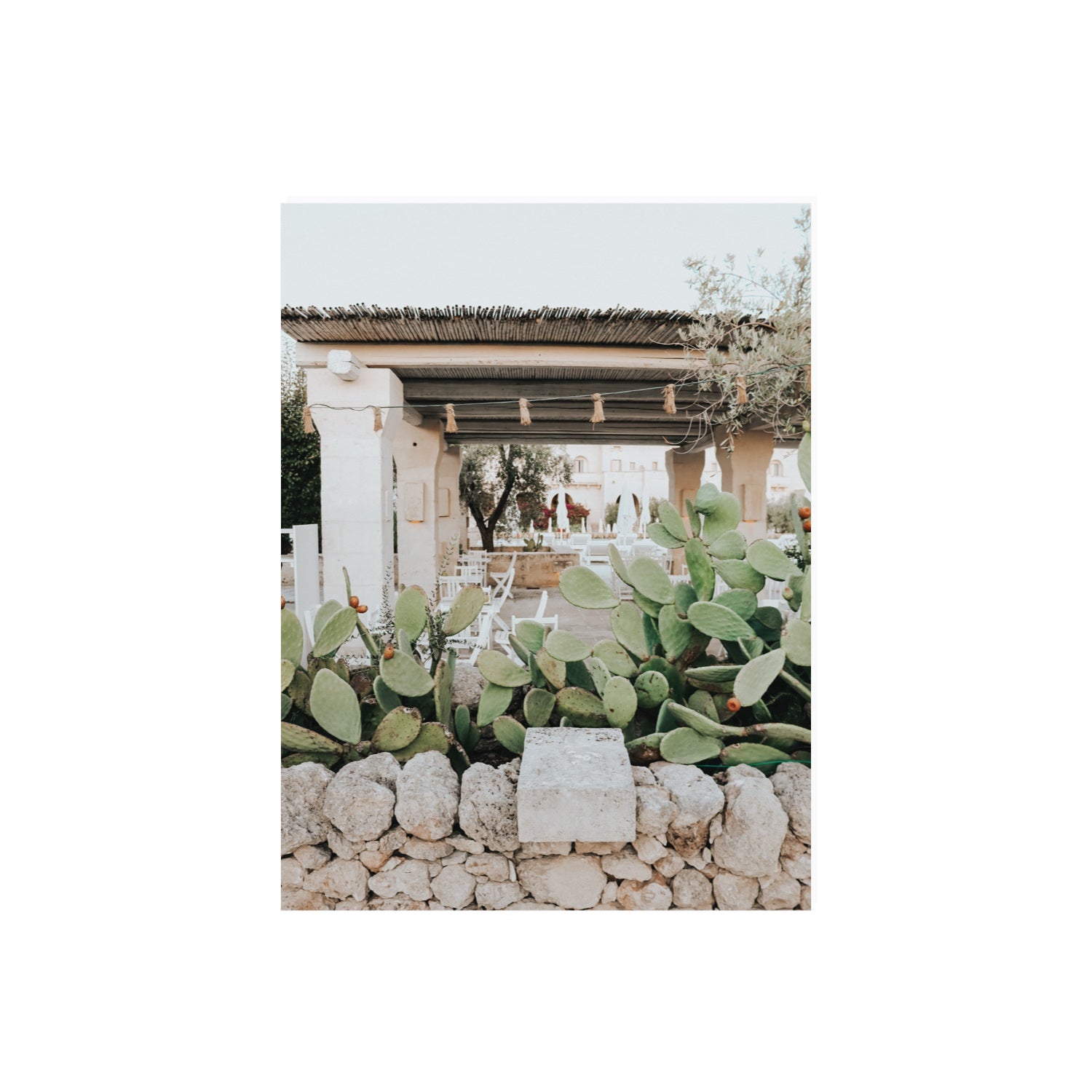 Puglia Flora Puglia Borgo Egnazia Mediterranean wall art 18 x 24 in unframed fine art print