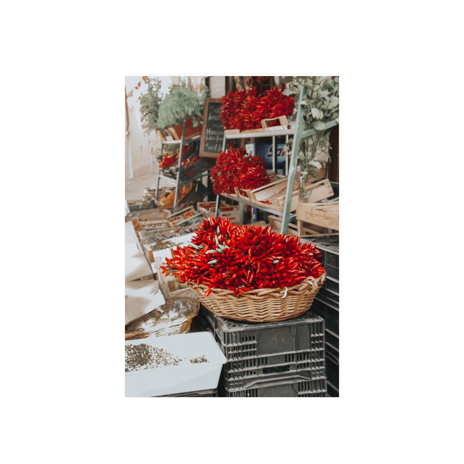 Fiery Cluster Puglia Italian wall art 20 x 30 in unframed fine art print