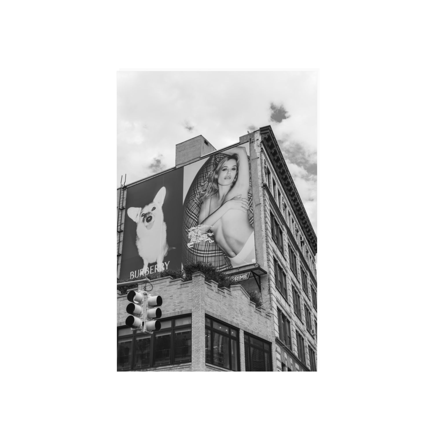 Dynamic Duo fine art print, New York, United States, 20 x 30 in, Unframed, Fine Art Print