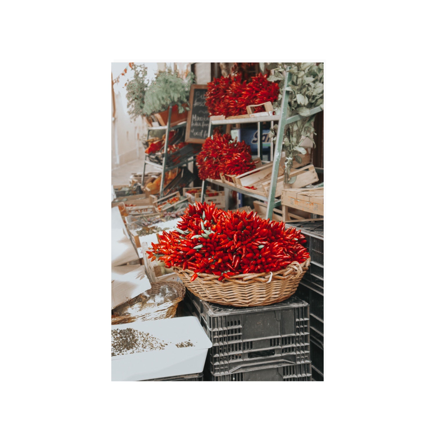 Fiery Cluster Puglia Italian wall art 24 x 36 in unframed fine art print