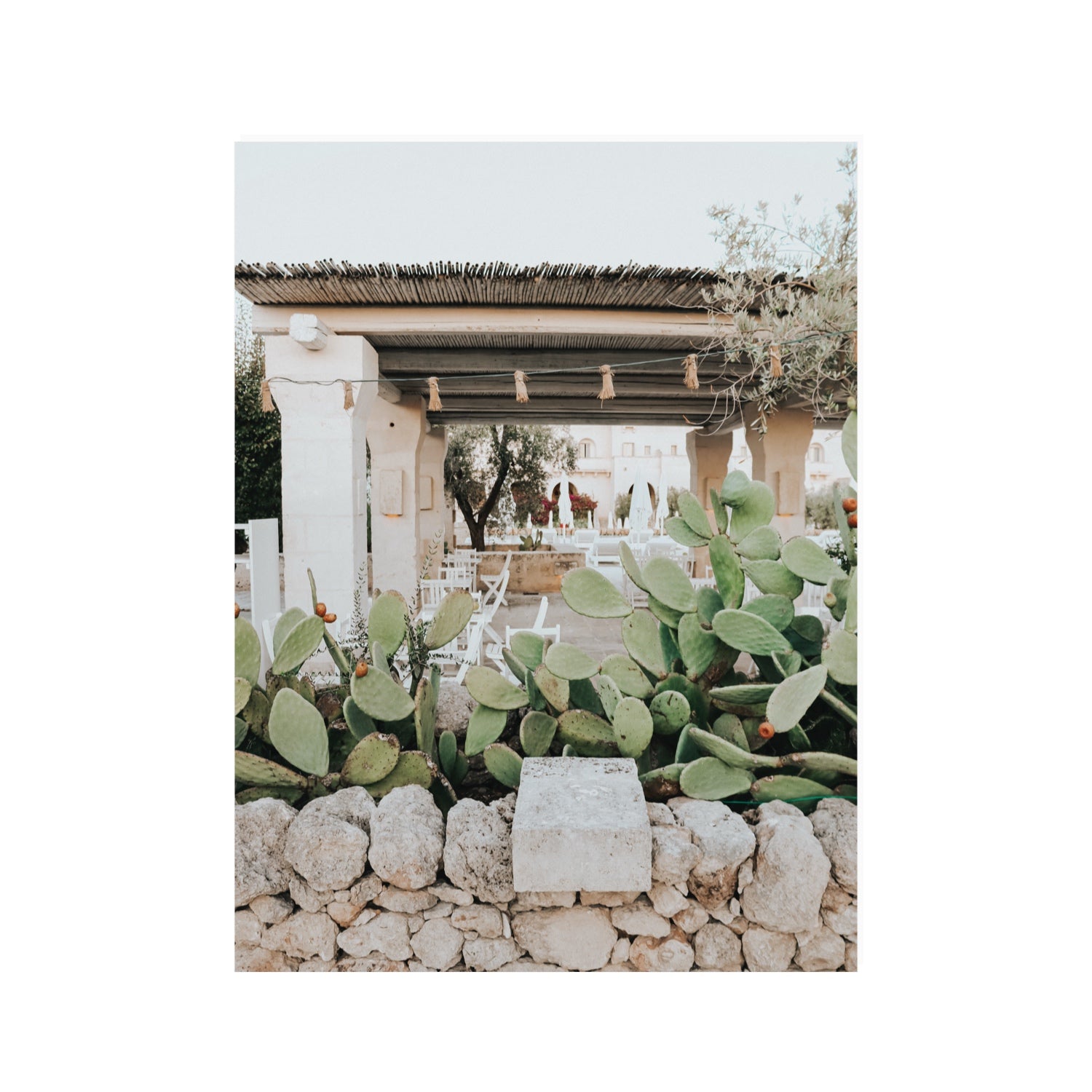 Puglia Flora Puglia Borgo Egnazia Mediterranean wall art 30 x 40 in unframed fine art print