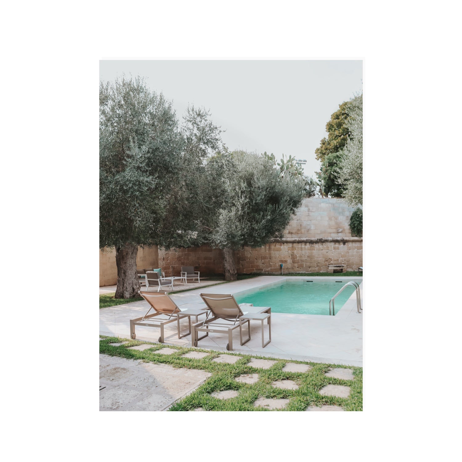 Olive Oasis Puglia Mediterranean wall art 30 x 40 in unframed fine art print