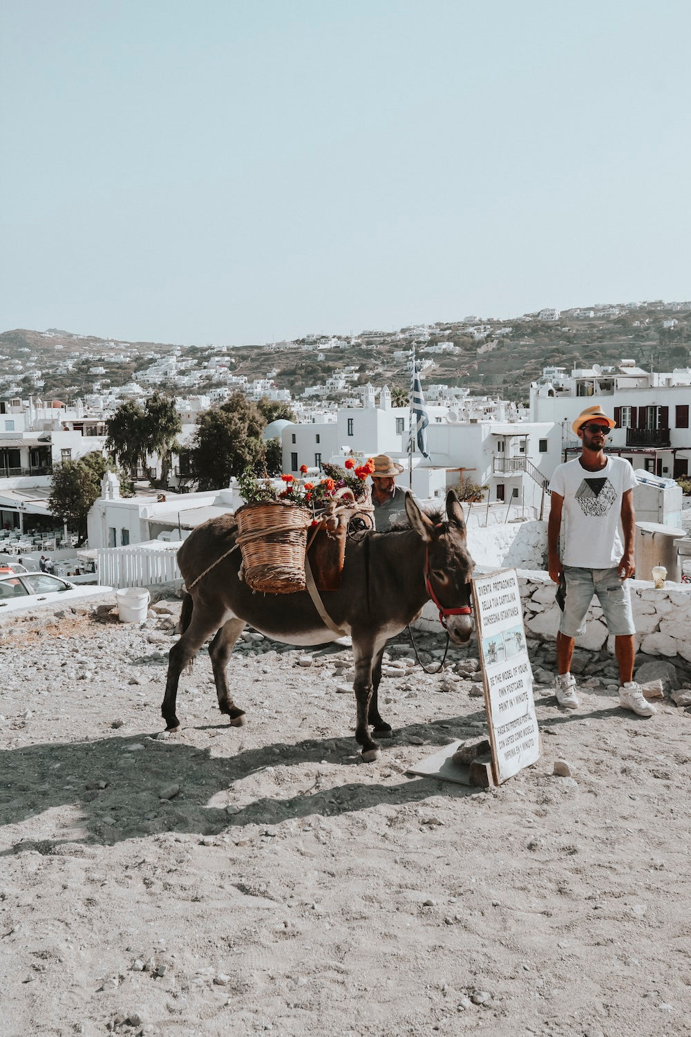 Mykonos Print, Greece Print - Amichi Co